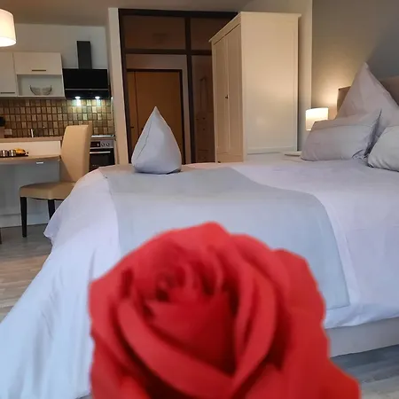 Aparthotel Haus Roseneck Mit Gratis Zugang Zur Jod-sole-therme 4*