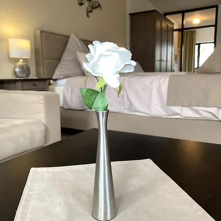 Haus Roseneck Mit Gratis Zugang Zur Jod-sole-therme 4*