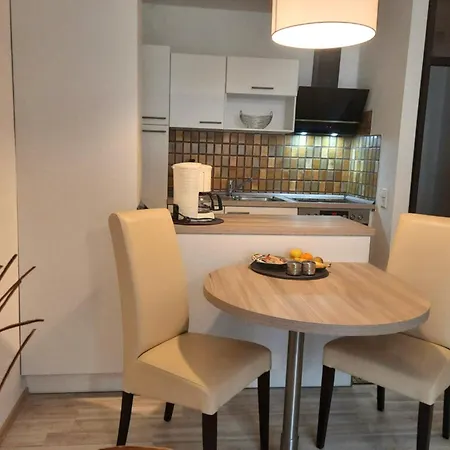 Haus Roseneck Mit Gratis Zugang Zur Jod-sole-therme Apart-hotel 4*