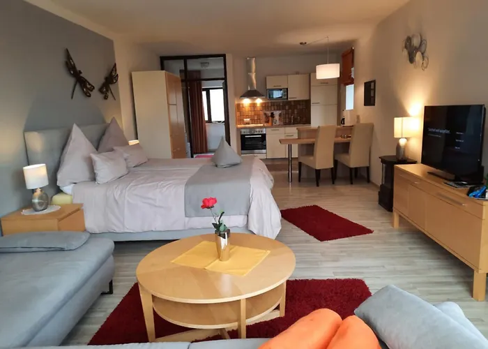 Haus Roseneck Mit Gratis Zugang Zur Jod-sole-therme Lejlighedshotel